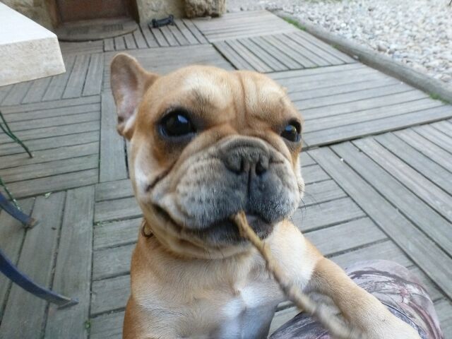 Publication : des brumes d'aurore Auteur : Laurence HUIBAN Oriane a 2 mois