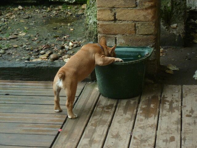 Publication : des brumes d'aurore Auteur : Laurence HUIBAN Oriane a 2 mois