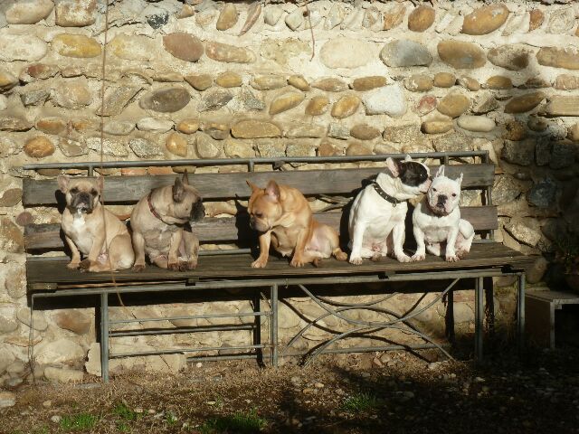 Publication : des brumes d'aurore Auteur : Laurence Huiban