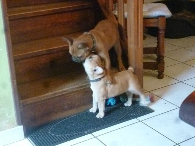 Publication : des brumes d'aurore Auteur : Laurence HUIBAN Oriane a 2 mois