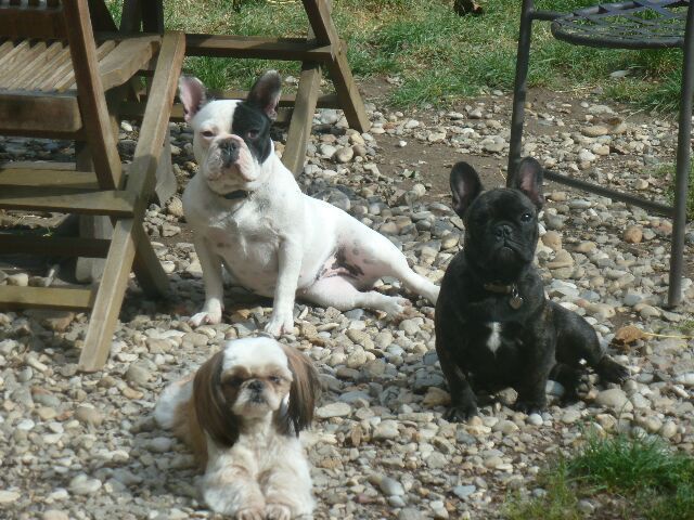 Publication : des brumes d'aurore Auteur : Laurence HUIBAN