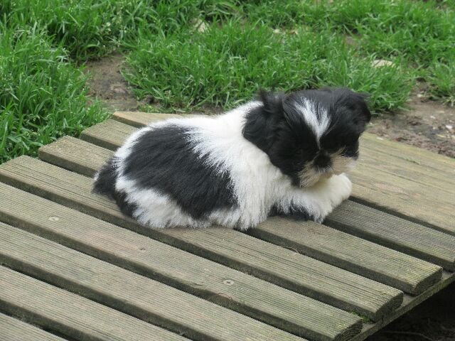 UTAH des brumes d'aurore