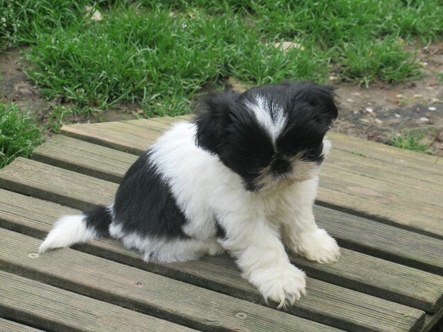 UTAH des brumes d'aurore