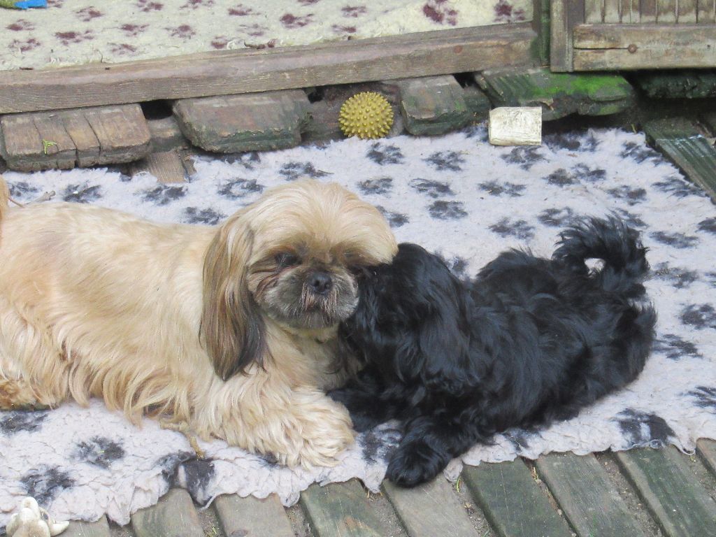 URSULA Andress des brumes d'aurore