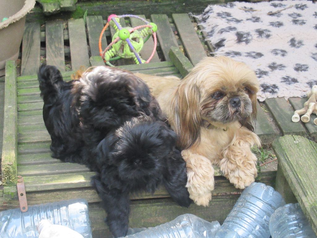 URSULA Andress des brumes d'aurore