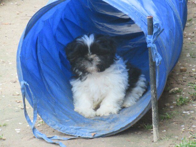 ULYS 23 des brumes d'aurore