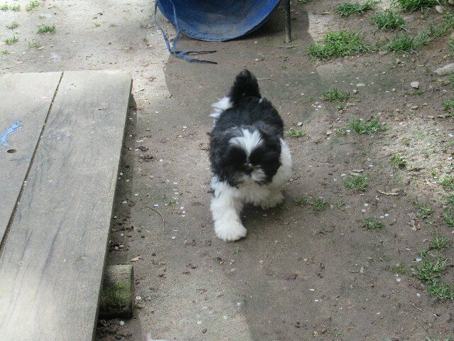 ULYS 23 des brumes d'aurore