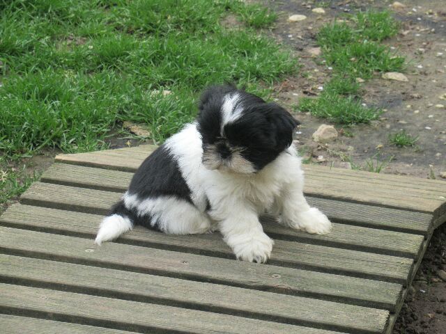 UTAH des brumes d'aurore