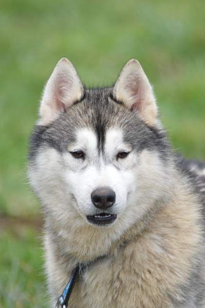 Lovely boy dit link des reves des neiges