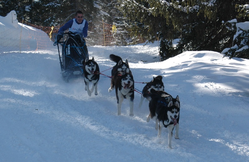 Magic Wolf Alaska 1