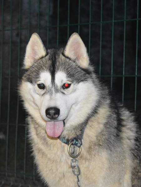 Lovely boy dit link des reves des neiges