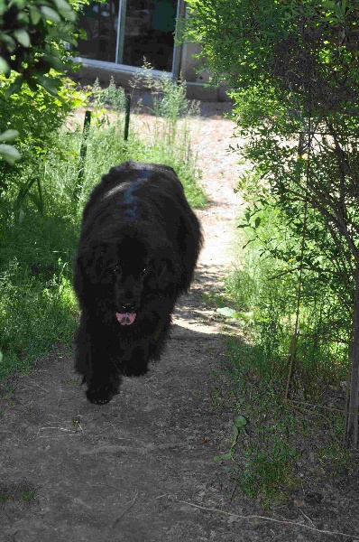 Publication : Des lutins noirs aux yeux d'amour