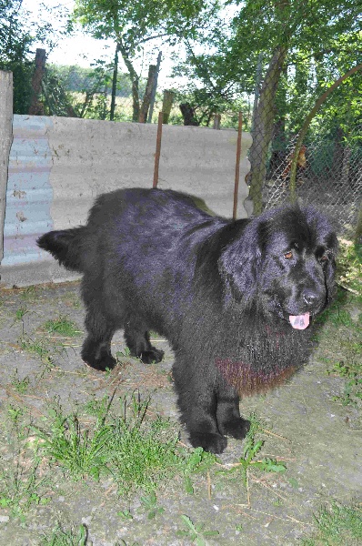 Publication : Des lutins noirs aux yeux d'amour