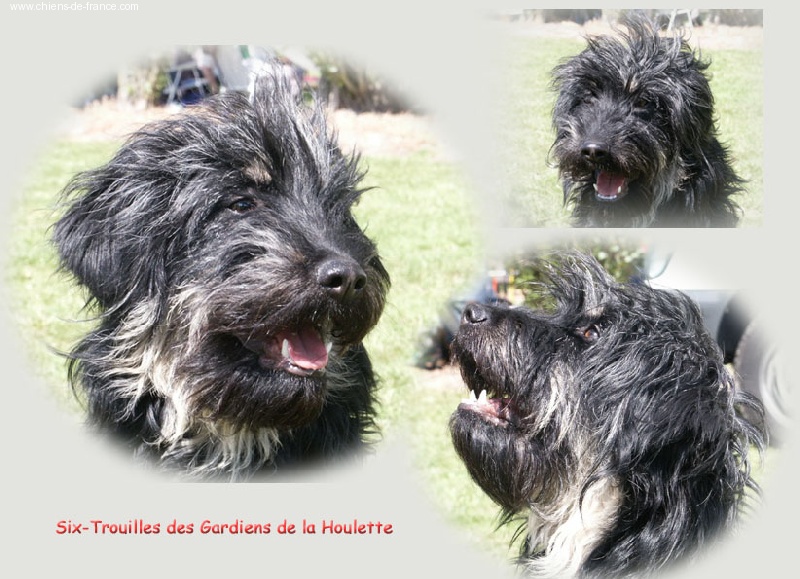 Six trouilles Des Gardiens de la Houlette