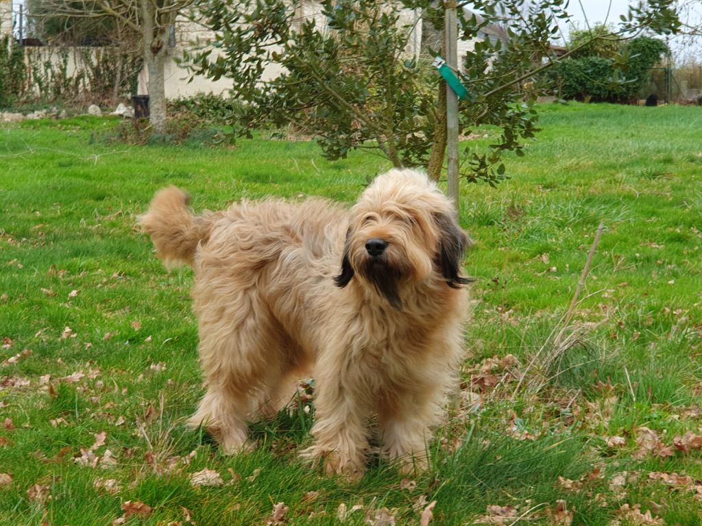 Oihana Des Gardiens de la Houlette