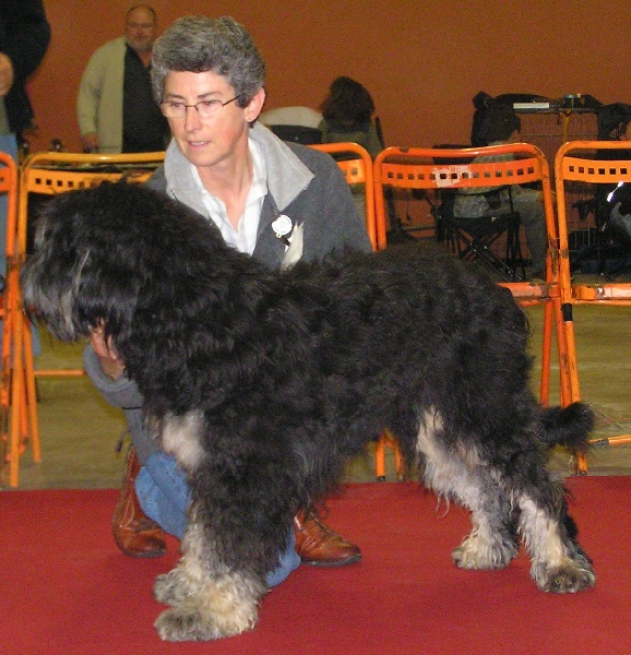 Alré Des Gardiens de la Houlette
