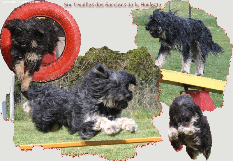 Six trouilles Des Gardiens de la Houlette