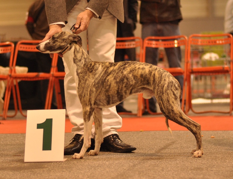 Publication : des Carmauries Auteur : les carmauries