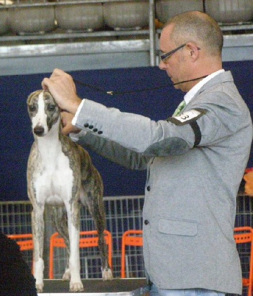 Publication : des Carmauries Auteur : les carmauries