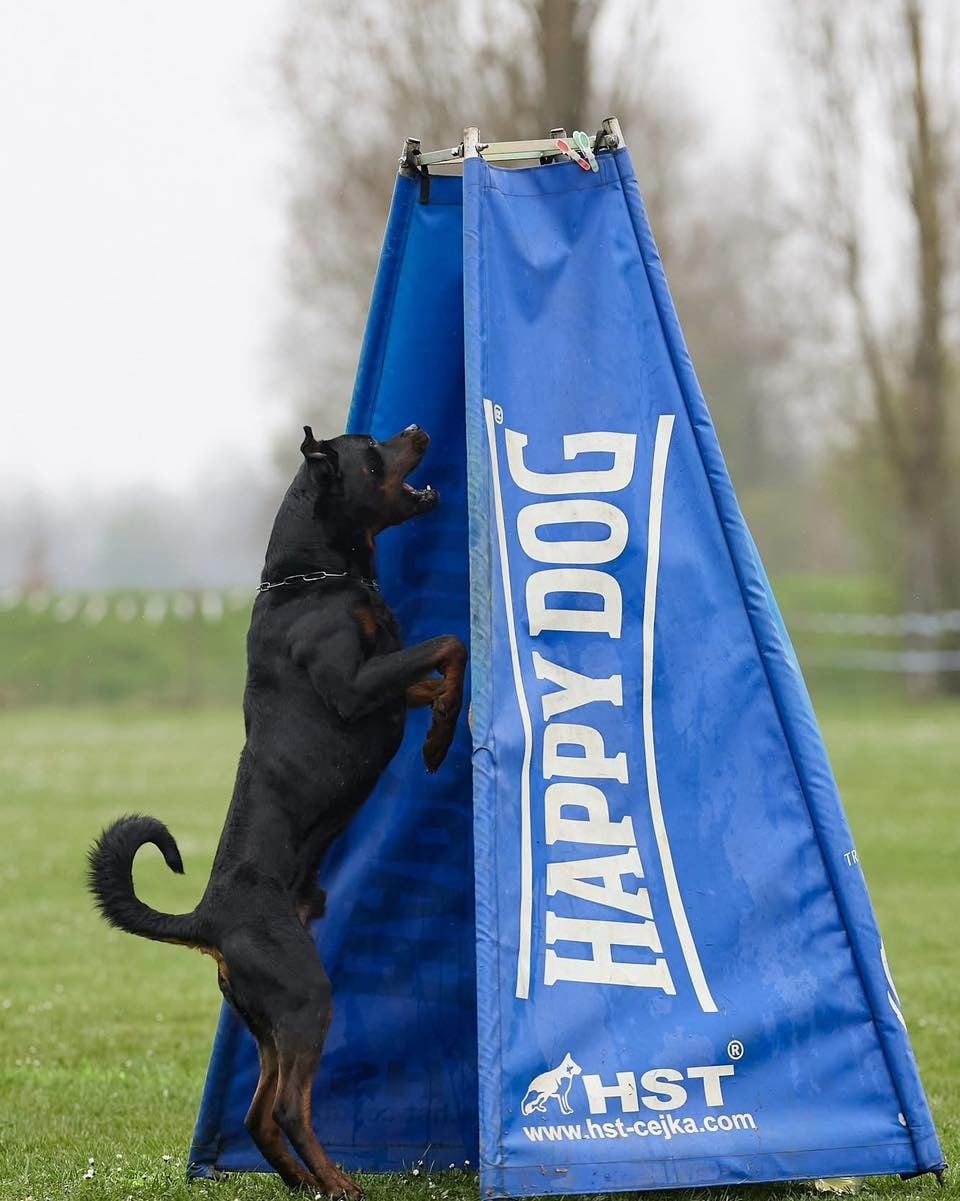 TCHALLA Du domaine saint martin