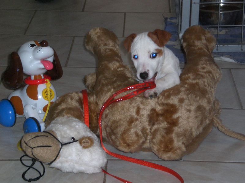 Publication : Du domaine saint martin Auteur : sandrine Sutera