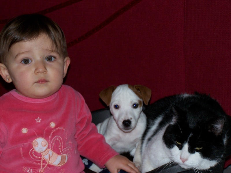 Publication : Du domaine saint martin Auteur : sandrine Sutera