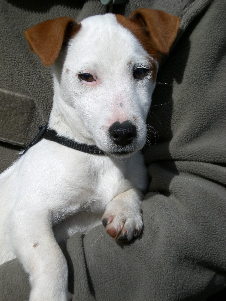 Publication : Du domaine saint martin Auteur : sandrine Sutera