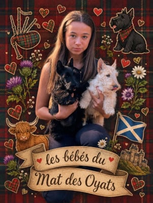 Les chiots de Scottish Terrier