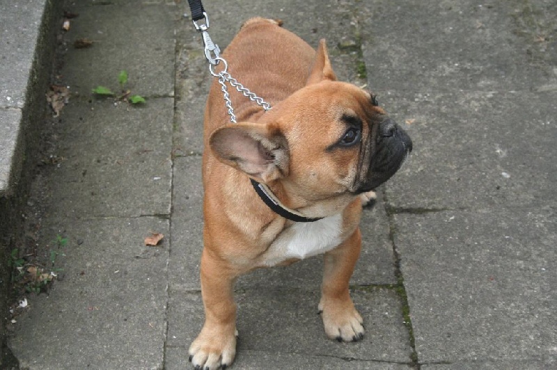 Publication : jolie frimousse Auteur : jolie frimousse