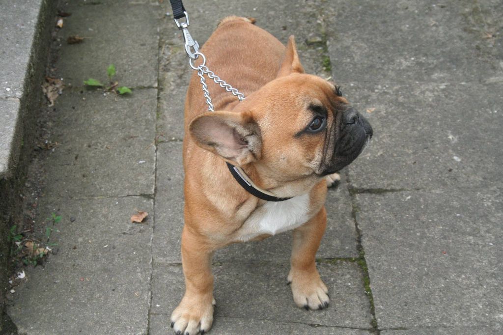 Publication : jolie frimousse Auteur : jolie frimousse