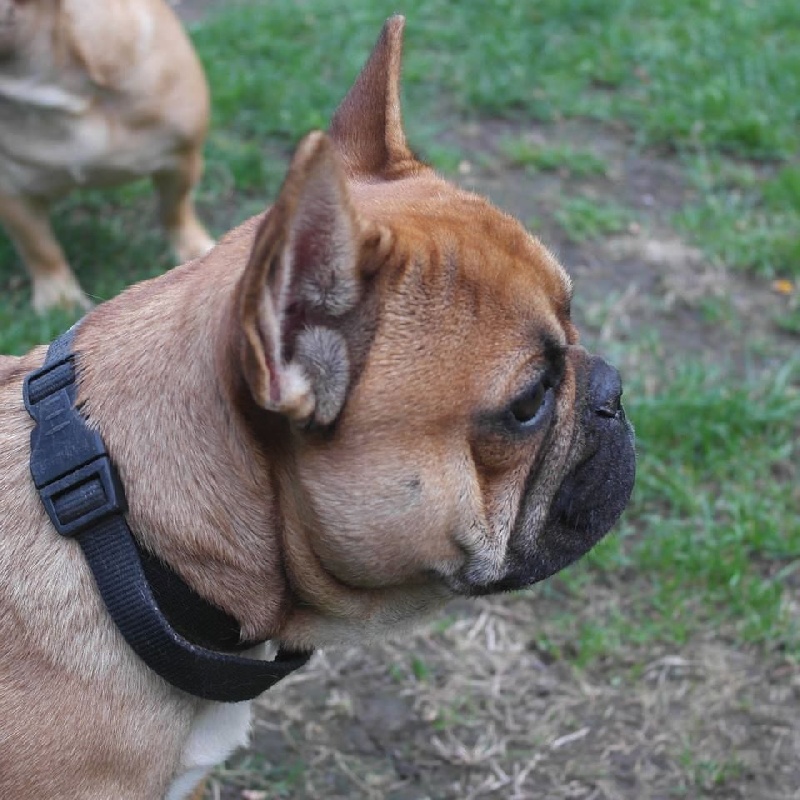 Publication : jolie frimousse Auteur : jolie frimousse