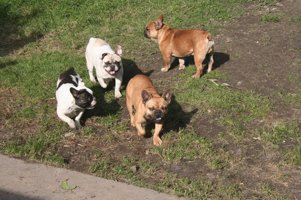 Publication : jolie frimousse Auteur : jolie frimousse