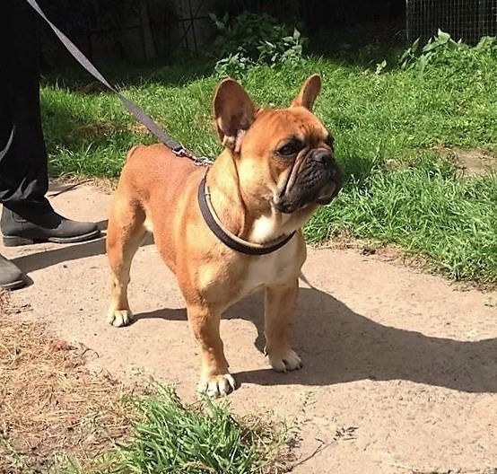 Publication : jolie frimousse Auteur : jolie frimousse