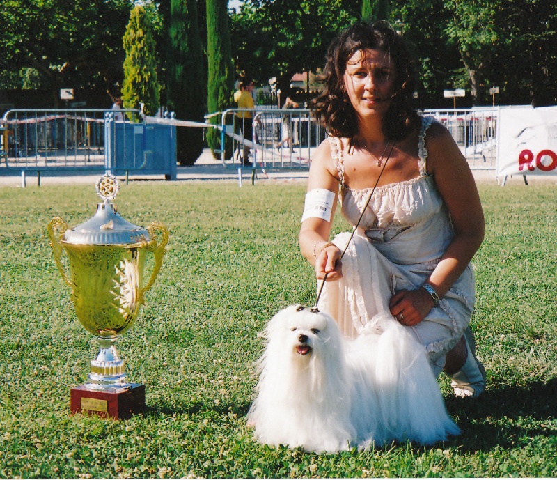 CH. Sisley pop de Pyhatunturi - 1er EXC- CACS- Meilleur de race- Meilleur du 9ème groupe- Best in Show.