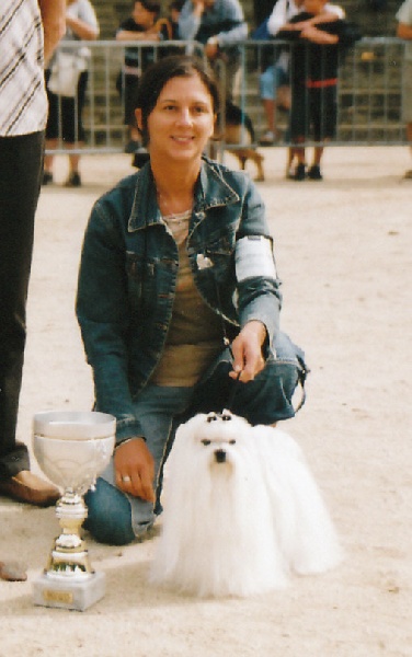 CH. Sisley pop de Pyhatunturi - 1er EXC- CACS- Meilleur de race- Meilleur du 9ème groupe.