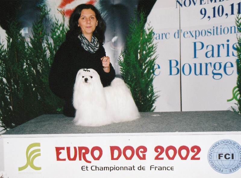 CH. Sisley pop de Pyhatunturi - EXC.