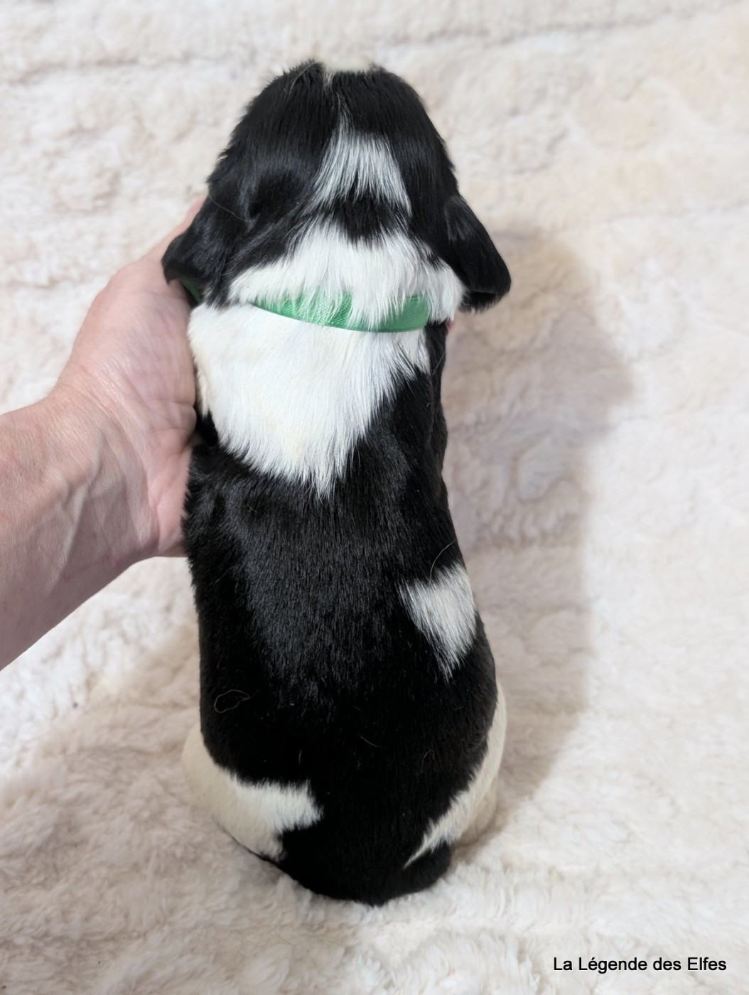 B----de la Légende des Elfes