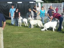 Publication : du domaine de l'Escaut