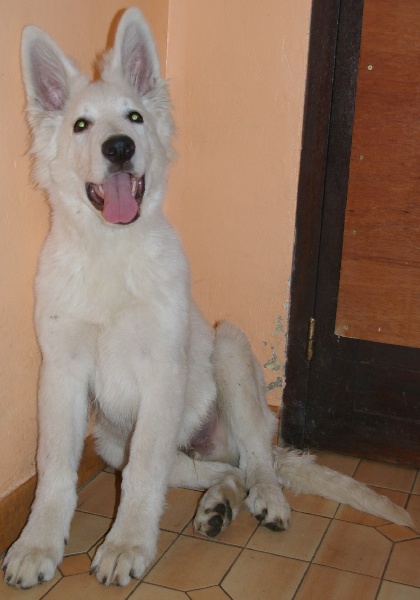 Publication : du domaine de l'Escaut