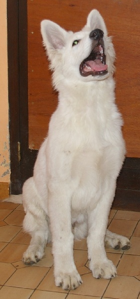 Publication : du domaine de l'Escaut