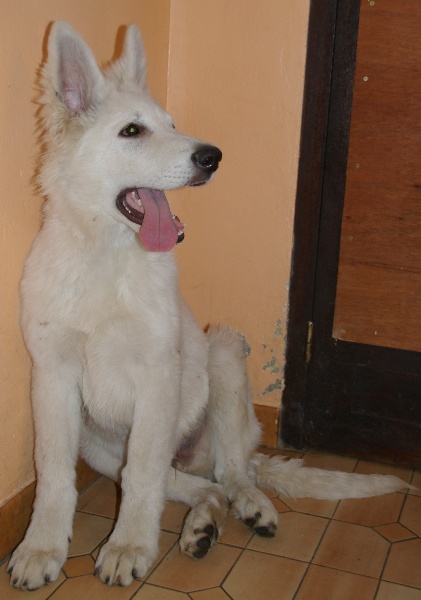 Publication : du domaine de l'Escaut