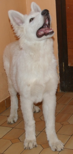 Publication : du domaine de l'Escaut