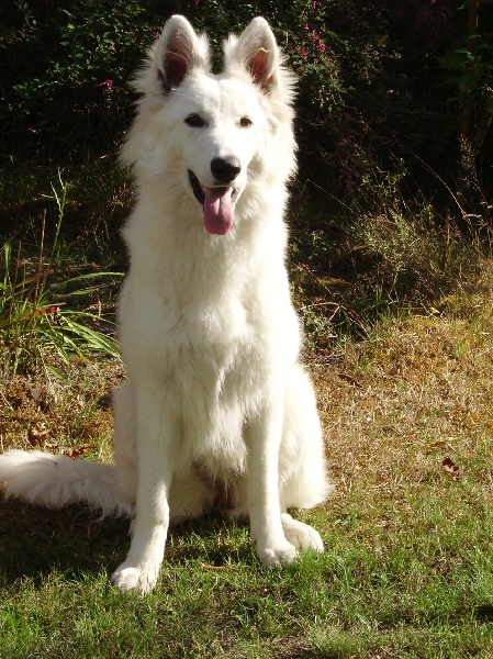 Publication : du domaine de l'Escaut