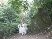 Publication : du domaine de l'Escaut