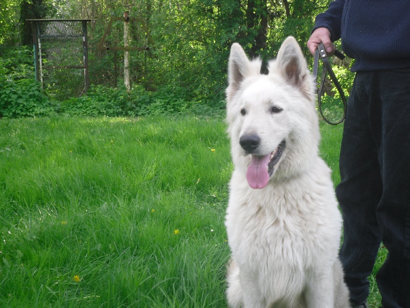 Publication : du domaine de l'Escaut