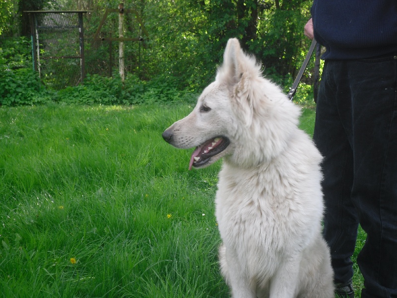 Publication : du domaine de l'Escaut