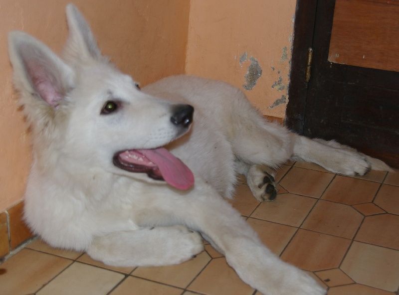 Publication : du domaine de l'Escaut