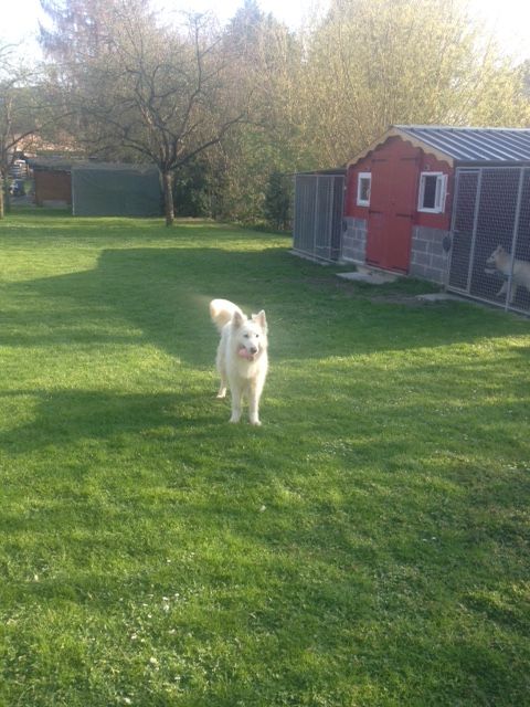 Publication : du domaine de l'Escaut