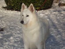 Publication : du domaine de l'Escaut