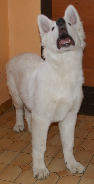 Publication : du domaine de l'Escaut